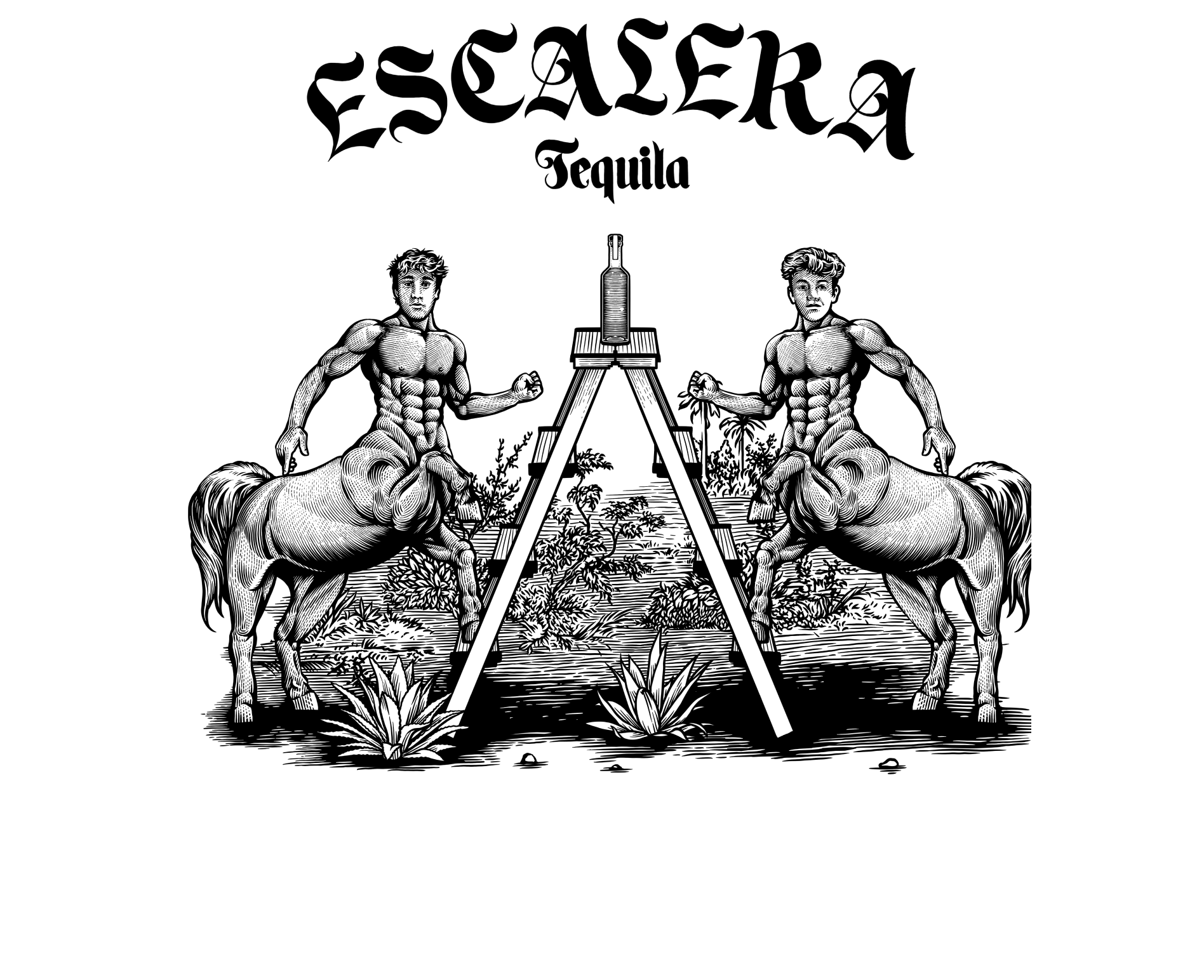 Escalera Tequila